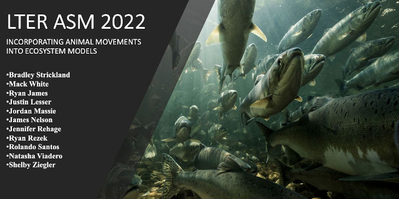 Incorporating Animal Movements into Ecosystem Models Workshop slide