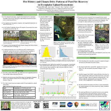 View Grace McLeod's poster