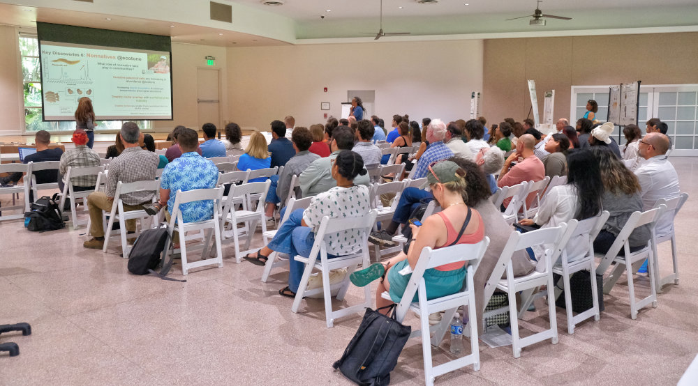 Dr. Jennifer Rehage presenting consumer research updates at the 2024 Florida Coastal Everglades LTER All Scientists' Meeting