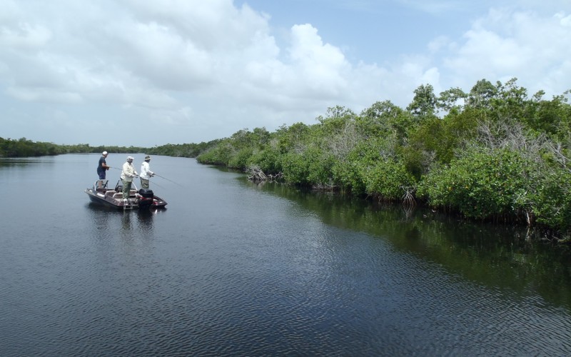 Everglades anglers in the Shark River Estuary