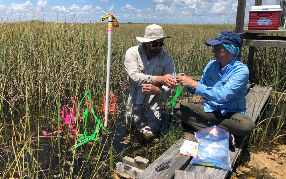 Deploying LTeaERbags at an FCE research site