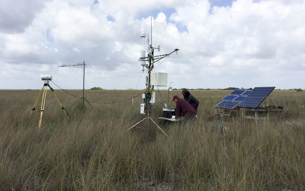Eddy covariance and meteorological tower near TS/Ph-1b in Taylor Slough