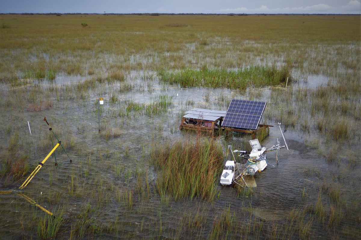 Observation tower after hurricane Irma in the Everglades. The research site at Taylor Slough was heavily attacked by the hurricane Irma and the research tower hardly survived the storm. Photo submitted by Junbin Zhao