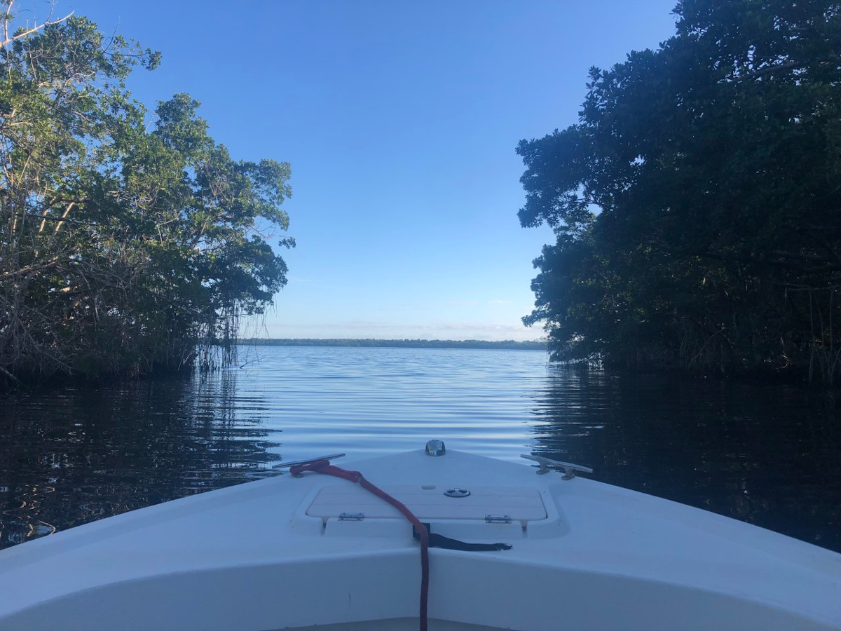 Views of open water