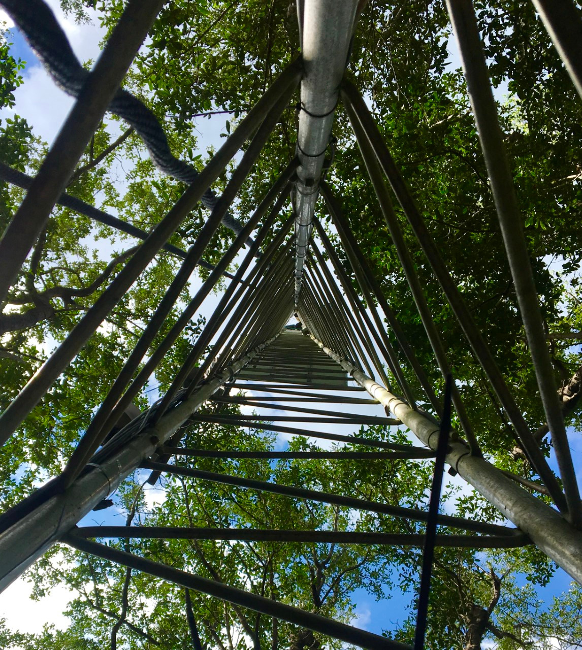 SRS6 Tower