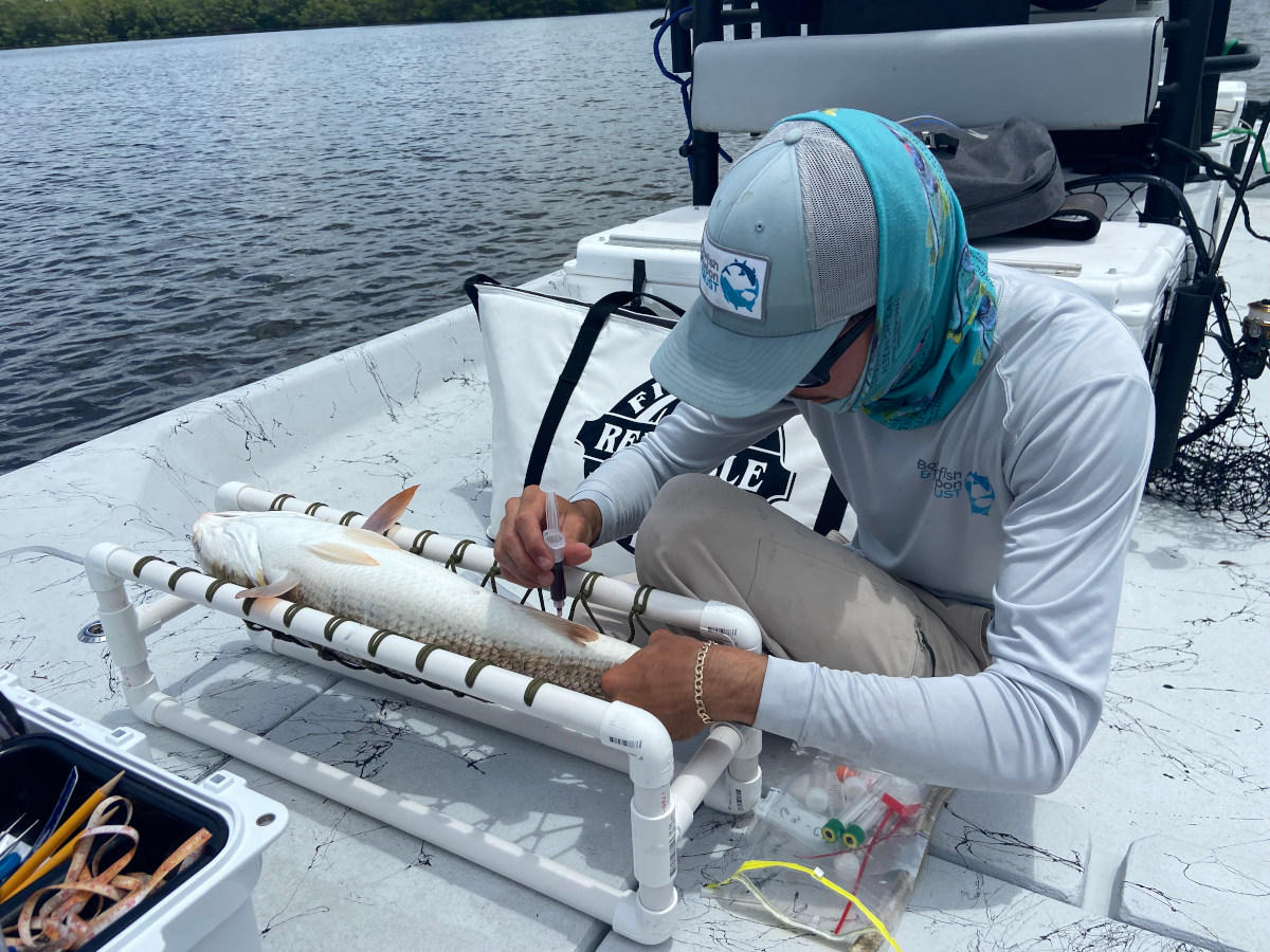 Boat-based blood work