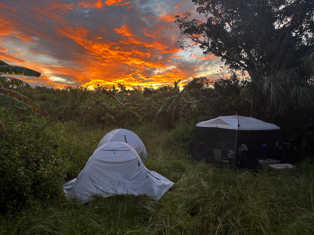 Canepatch sunrise