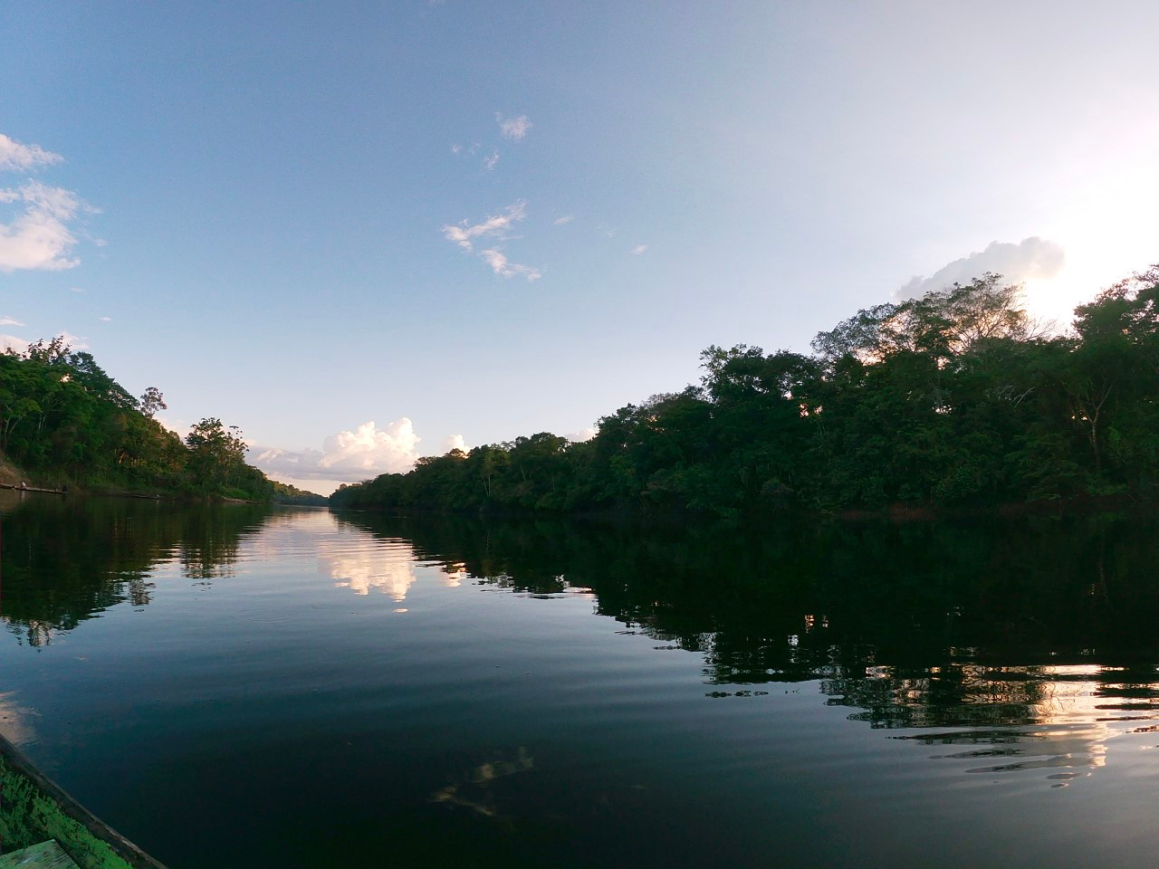 The jungle of mirrors. Pacaya Samiria National Preserve, Peru 2022